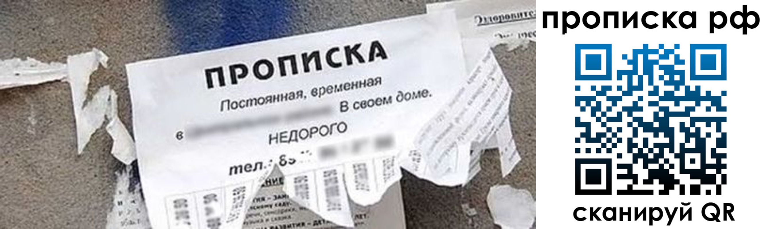 где прописаться в Заполярном